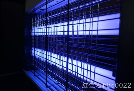 c4img3.jpg